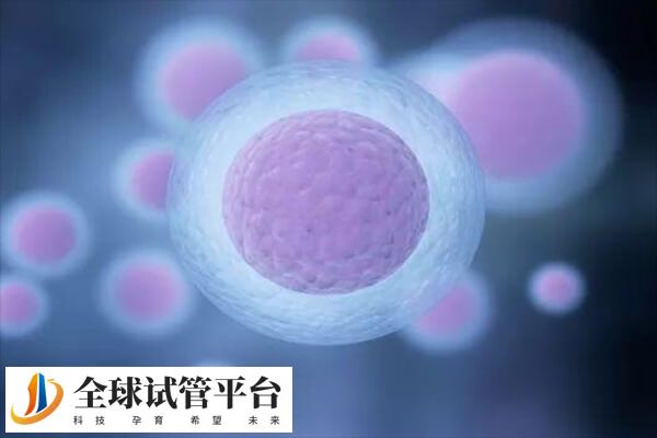 促排卵可以帮助治疗不排卵