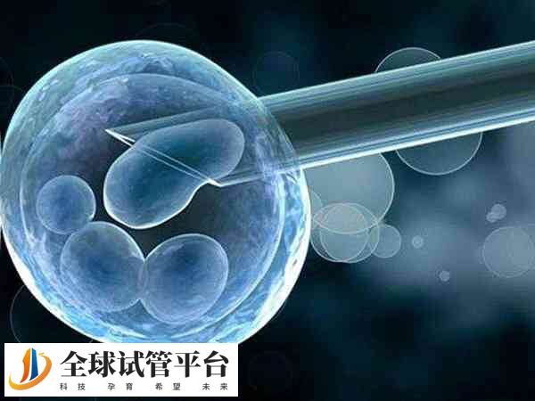 只要能取到卵子就能做试管婴儿