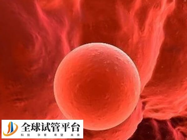 信阳做试管去中心医院最好吗？