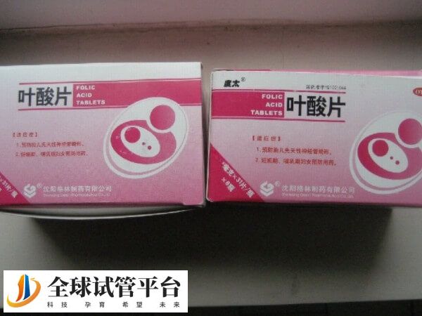 叶酸又称维生素B9