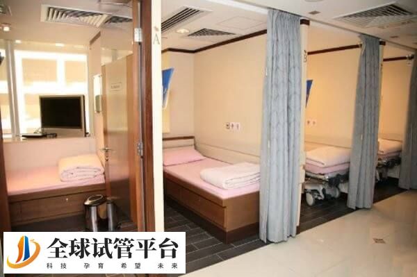 取卵后注意多休息