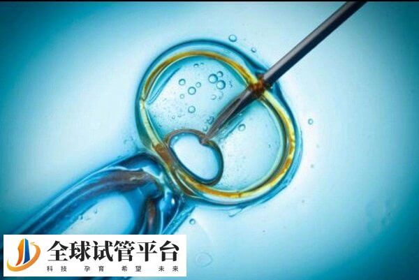 去美国私立医院做供卵试管大概需要多少钱？