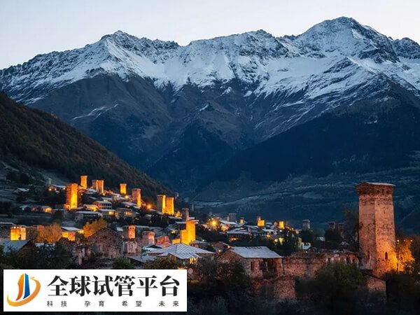 格鲁吉亚试管限制少