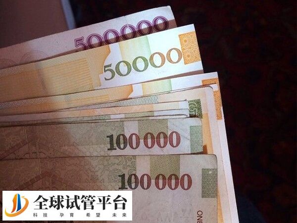 格鲁吉亚的第三方助孕费用贵