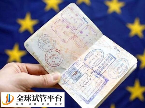 去格鲁吉亚做试管婴儿需要签证吗？