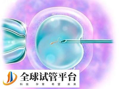 格鲁吉亚做试管的流程是怎么样的？与国内有区别吗？