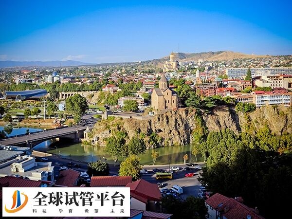 格鲁吉亚供卵三代试管助孕套餐多少钱？