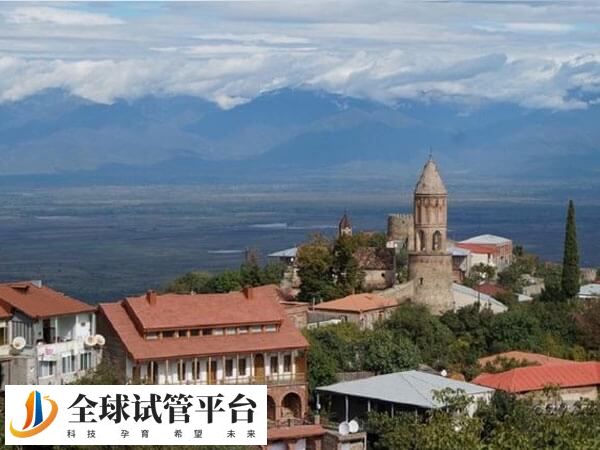 格鲁吉亚助孕机构做试管婴儿生龙凤双胞胎多少钱？