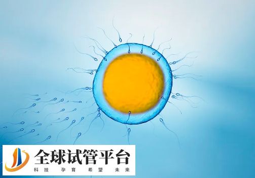 加拿大试管婴儿技术成熟吗成功率多少