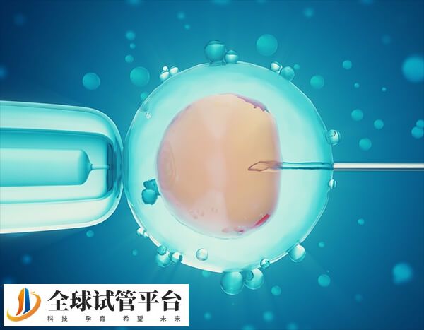 取卵后腹水体重会增加