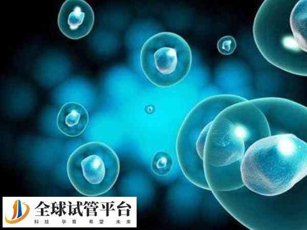 微刺激方案安全有效