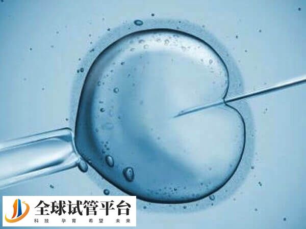 囊胚移植后肚子痛很正常