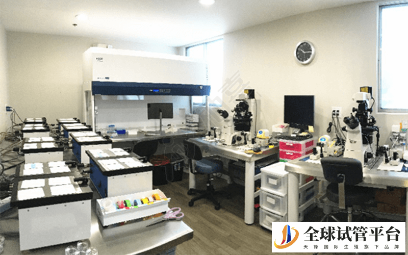 生育专家的办公室