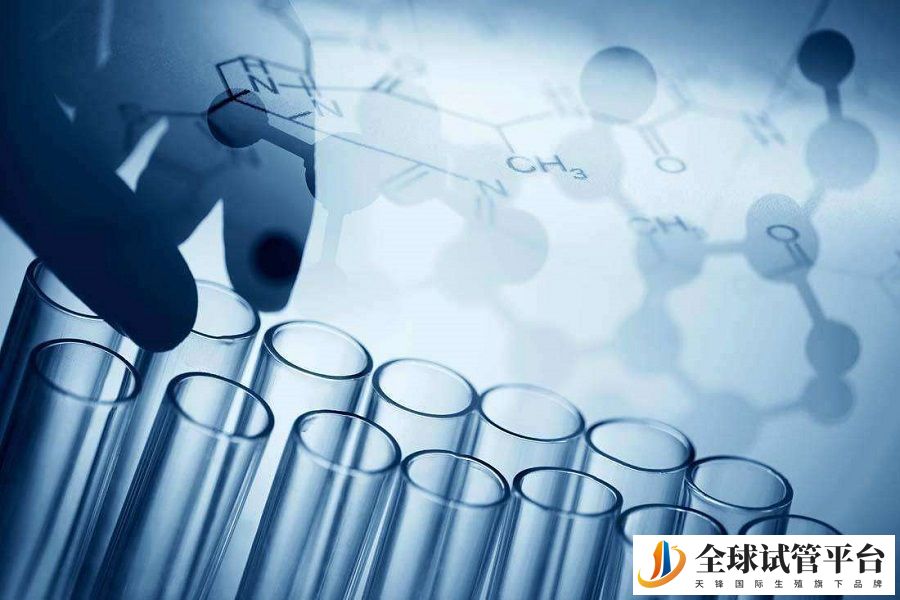 马来西亚做试管需要注意哪些问题？