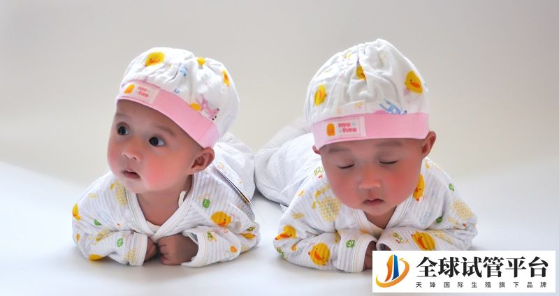 想生双胞胎，前往日本杉山医院做试管手术可以么？
