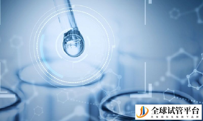 日本杉山医院在哪里？49岁做试管还有机会怀孕吗？