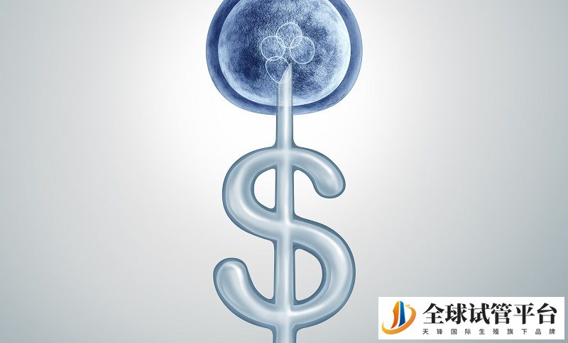 日本加藤医院试管婴儿的费用主要包括哪些？