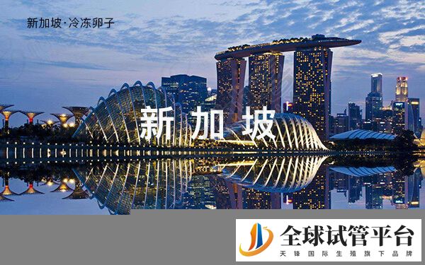 新加坡未婚冷冻卵子已受限，单身女性赴海外冻卵别被骗