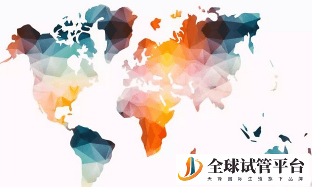 国外哪些国家能冻卵