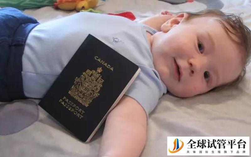 加拿大允许双重国籍