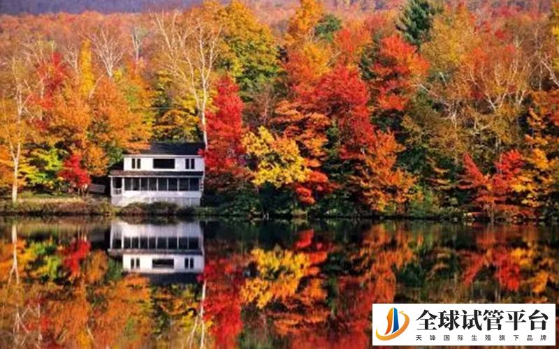 加拿大当地的景点