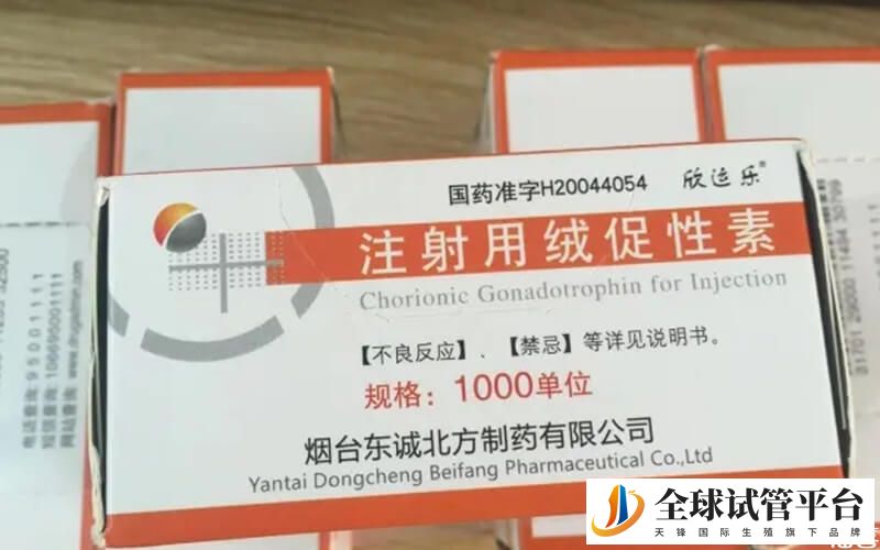 移植前打hcg有很多作用