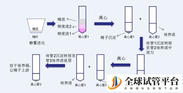 洗精原理与流程