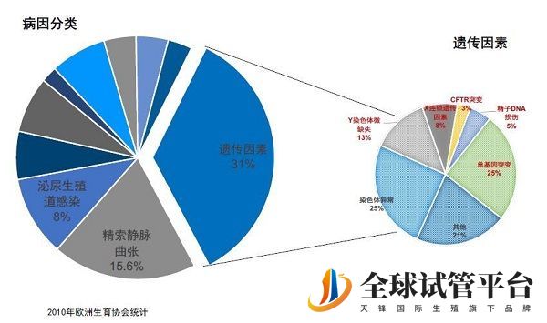 染色体缺失的种类