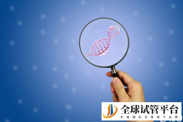 整条染色体缺失