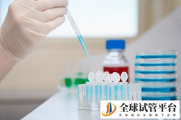 试管成功率因人而异