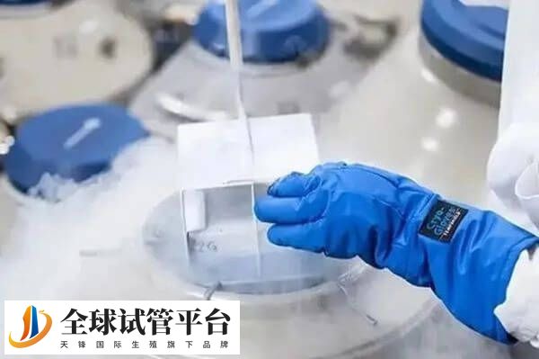 移植后剩余的胚胎可进行冷冻保存