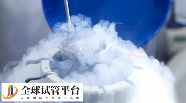 冻胚移植前先要准备内膜