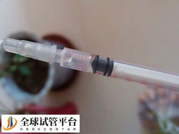 粒细胞针可以改善内膜血液循环