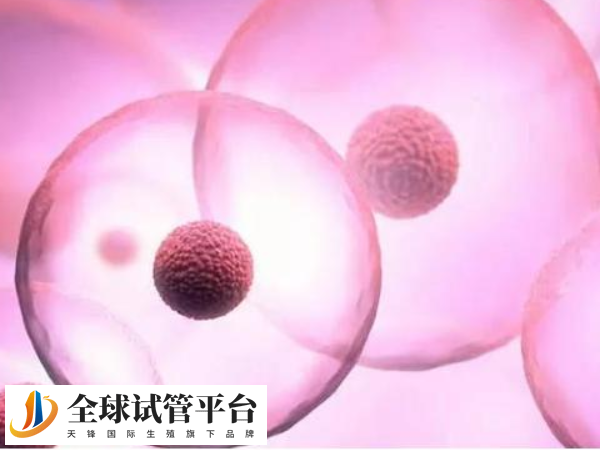 天津试管婴儿必须要结婚才能做