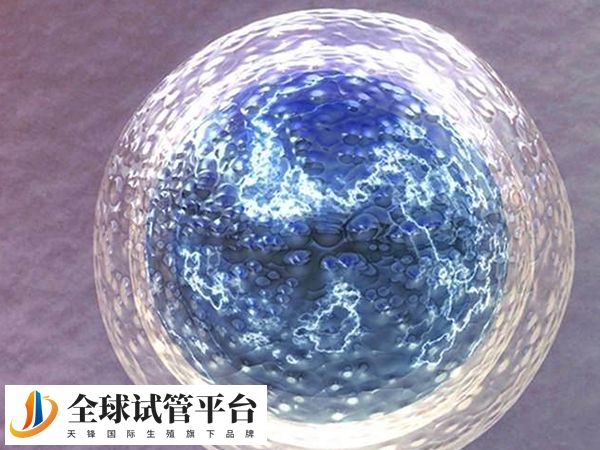 未婚人士通常不被允许接受试管婴儿治疗