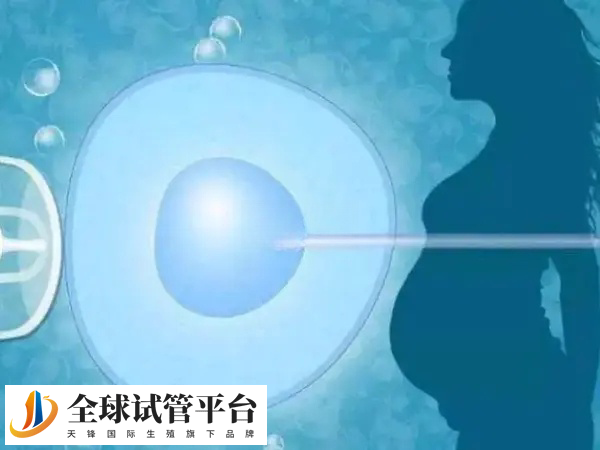 国内并未开放单身试管助孕技术