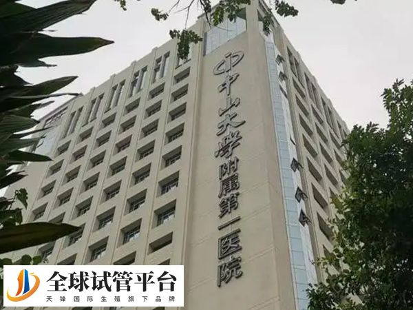 中山一院三代试管成功率高