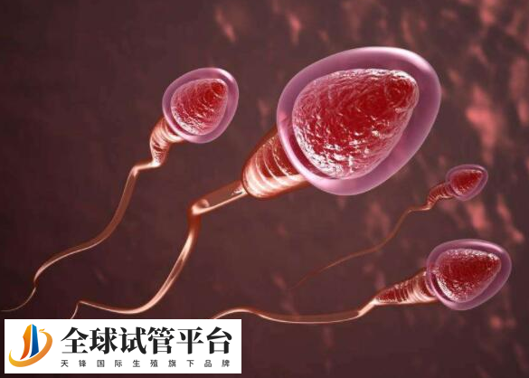 马来西亚试管婴儿医院排名?