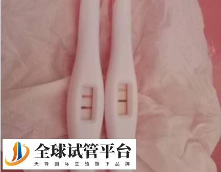俄罗斯试管婴儿治疗方案性价比高吗?