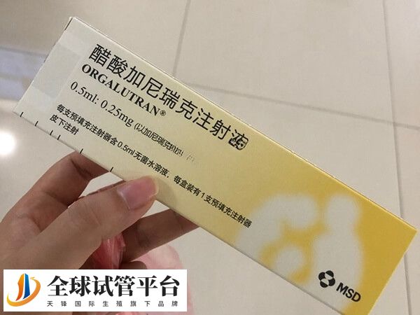 拮抗剂方案用药时间比较短