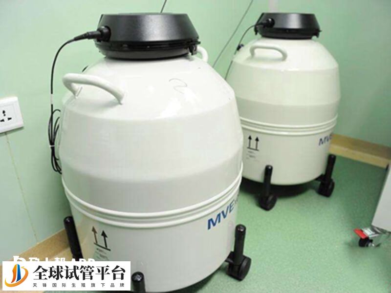 冷冻胚胎可保存生育机会