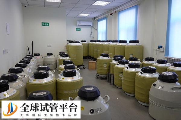 海外供精试管比较贵一点