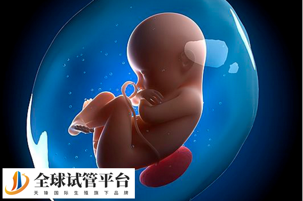 成都三代试管婴儿医院