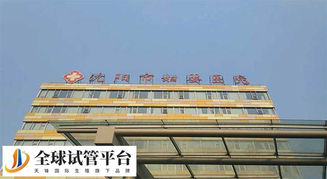 沈阳试管婴儿成功率最高的医院