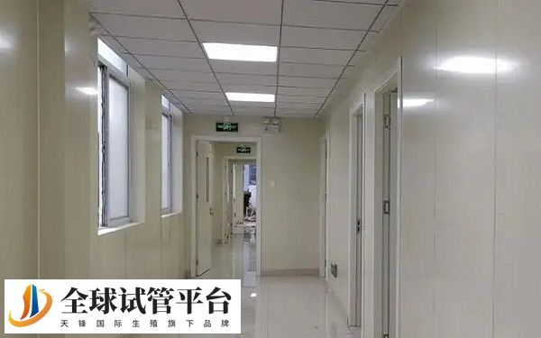贵阳妇幼保健和医学院做试管哪个好