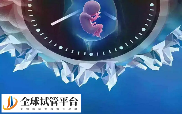 贵阳试管囊胚移植排名前十的医院