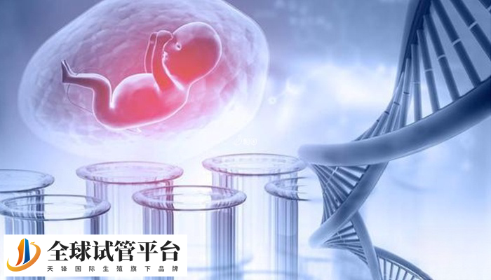 贵阳和昆明做试管哪个好