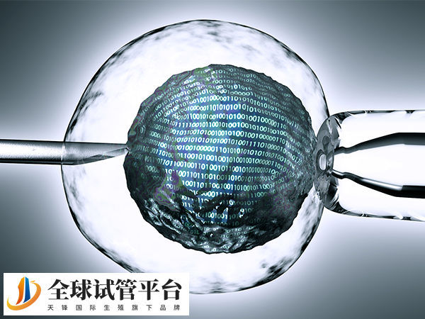 试管婴儿成功率大约为60%