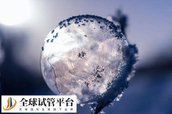 合肥冻卵费用需要三万