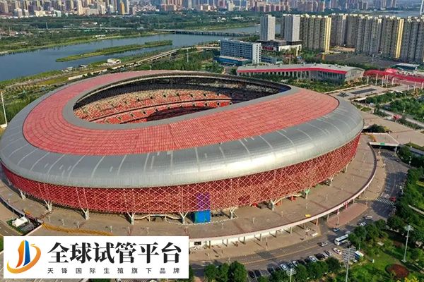 太原冻卵费用是否很贵